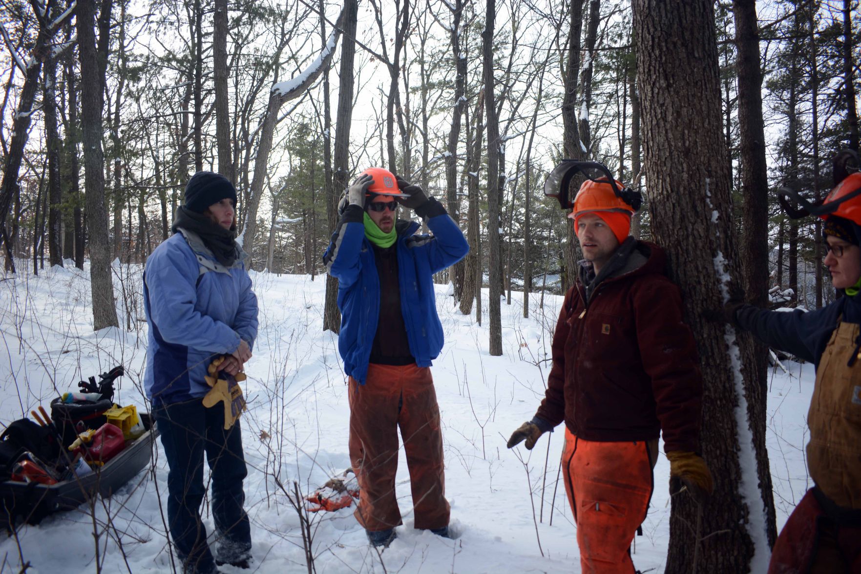 Devil's Lake east bluff stewardship work